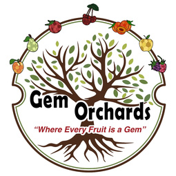 Gem Orcahard's logo