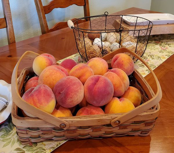 A basket is full of peaches on a kitchen table.